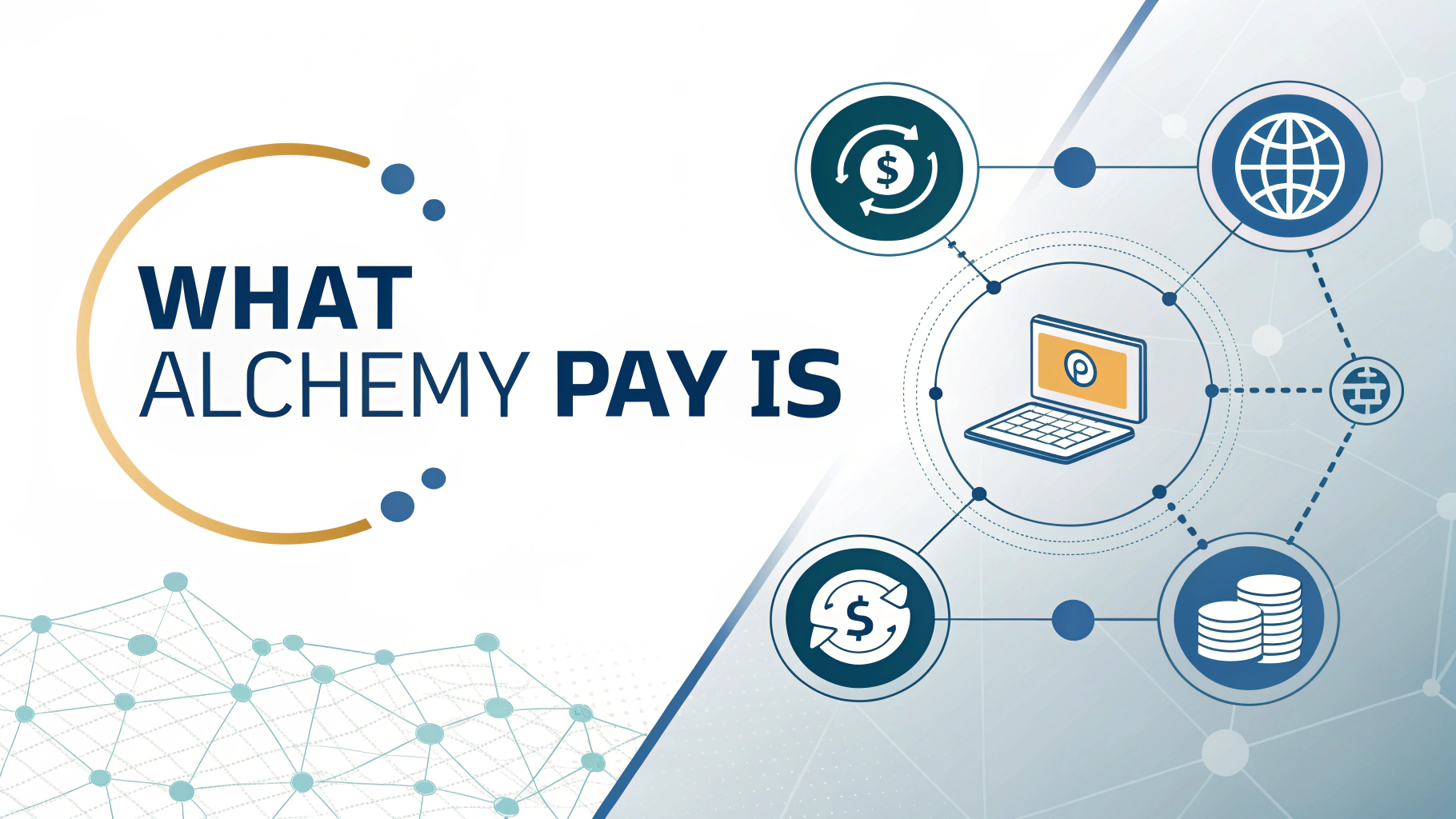 TOP largest Alchemy Pay (ACH) holders — ASCN