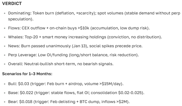 WOO Network Course Forecast: Full Overview and Analytics