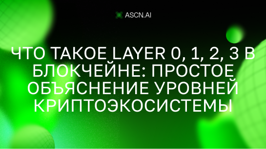 Что такое Layer 0, 1, 2, 3 в блокчейне: простое объяснение уровней криптоэкосистемы