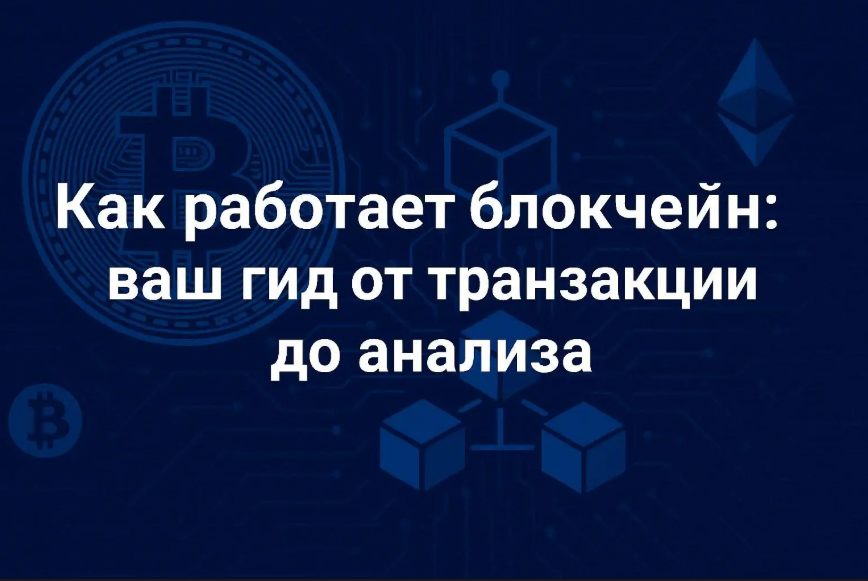 Как работает блокчейн: ваш гид от транзакции до анализа