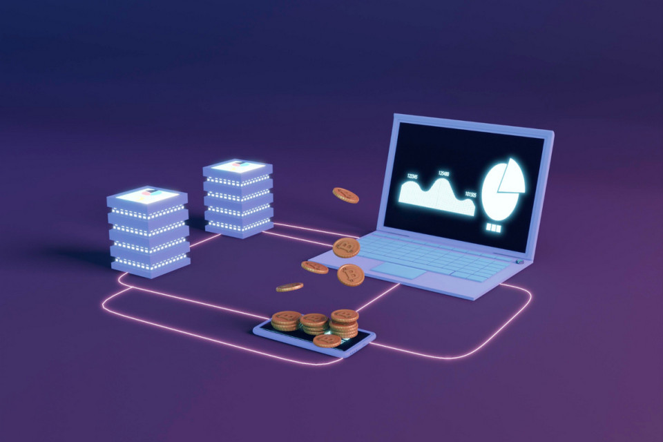 Основные Возрастные и Статистические Диапазоны в Мире Криптовалют